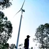 tinh_go_moc46