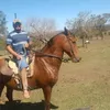 miao360