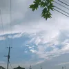 __615530