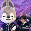 _babybaer