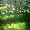 little_moon035