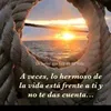 www.tiktok.comjosealzira
