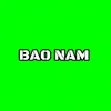 baonam8192