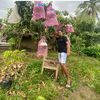 Thre Garden