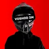 voshod_3m_175_