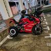 bulbasaurrrrr_