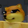 thedoge2007