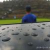 feri_a19