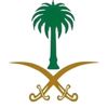 yz_m24