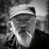 lee_tomy