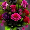ahmadalhamoud48