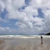 andynguyen1703