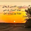 user7772829126146
