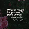 abuyzn10