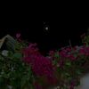 sbhan_allh11233