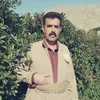 bamo.ahmad8