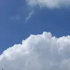 dnahkm