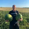 dimitar_8201