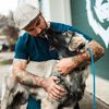Miracle K9 Training