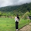 nsya1._
