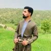 rebin_55