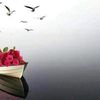 omdoaa_1
