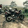 iwanggasu_