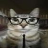 naty._.evade