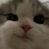 kurochin__
