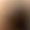 harrypotte372