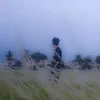 trn.viet.anh36