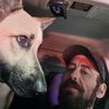 uberwithmydog