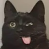 diegodidez