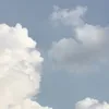 nonn115sn
