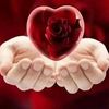 alwardah1233albayda