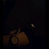fnsyrnadnia._