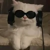 kimadz4