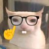 abitlikecat