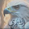 user5861853779208