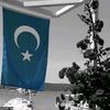 ahmedab836