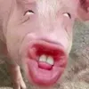ondeomalnaomeatinge