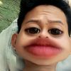 febri.yakan