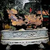 nguyenthanh83865