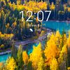 miro_041