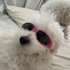 _cutiepup_