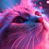 sweetie4257