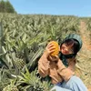 minhthuygvthienviet