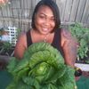cortneyslittlegarden