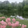 co__nl_1.x