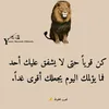 sa3ada29